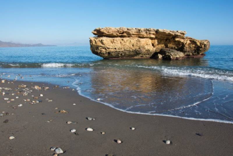 What’s on in Aguilas February 2024