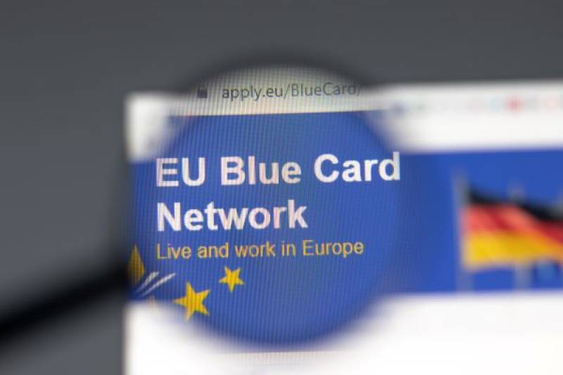 Understanding the European Blue Card