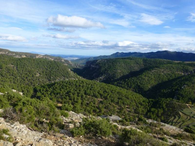 July 20 Night hike in the mountainous area of Hondares near Caravaca de la Cruz