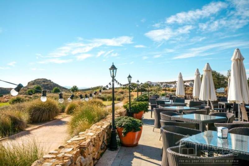 July 13 El Valle summer market