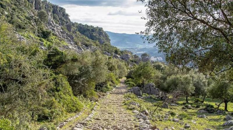 3 jaw-dropping natural hikes in the province of Cádiz