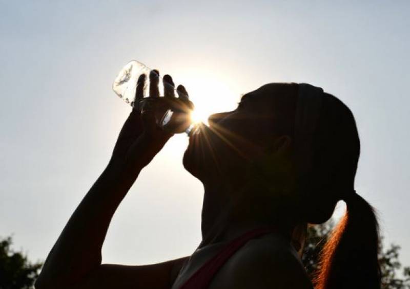 Almost 800 people died last month in the Spanish heatwave