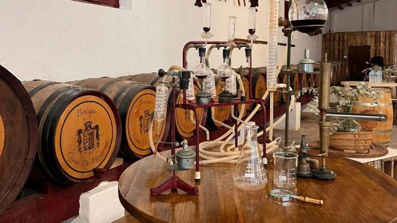 September 27 Wine and furniture tour of Yecla