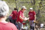 Discovery of intact tomb in Jumilla containing Tartessian grave goods