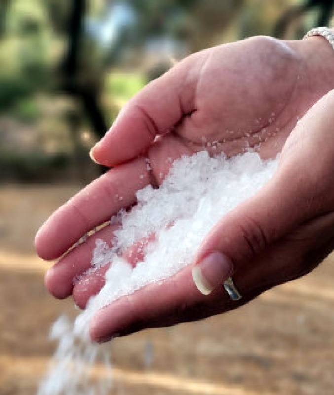 March 23 Free guided stroll in the salt flats of San Pedro del Pinatar