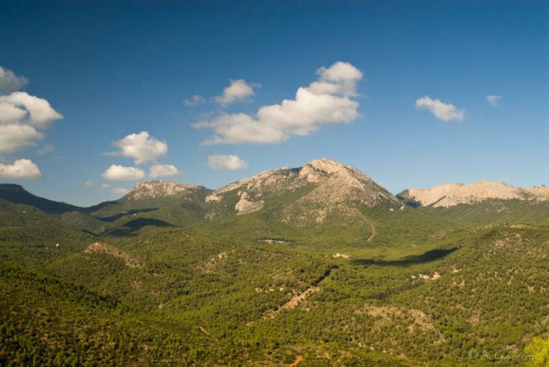 March 22 Free guided walk in the mountain forests of Sierra Espuña