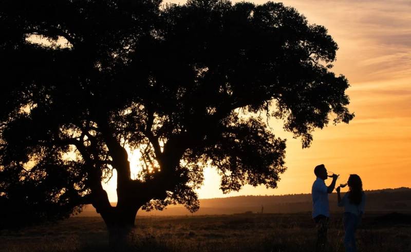 The millennia-old wine producing traditions of Murcia