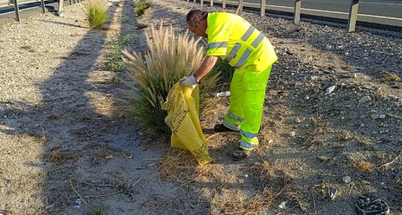 The unstoppable weed taking over roadsides in the Region of Murcia