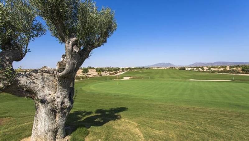 January 15-17 Elite Golf Tour at New Sierra Golf Club, Murcia