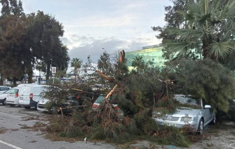 Watch! Storm Emilia leaves Málaga hardest hit as Andalucía moves to pre-emergency phase