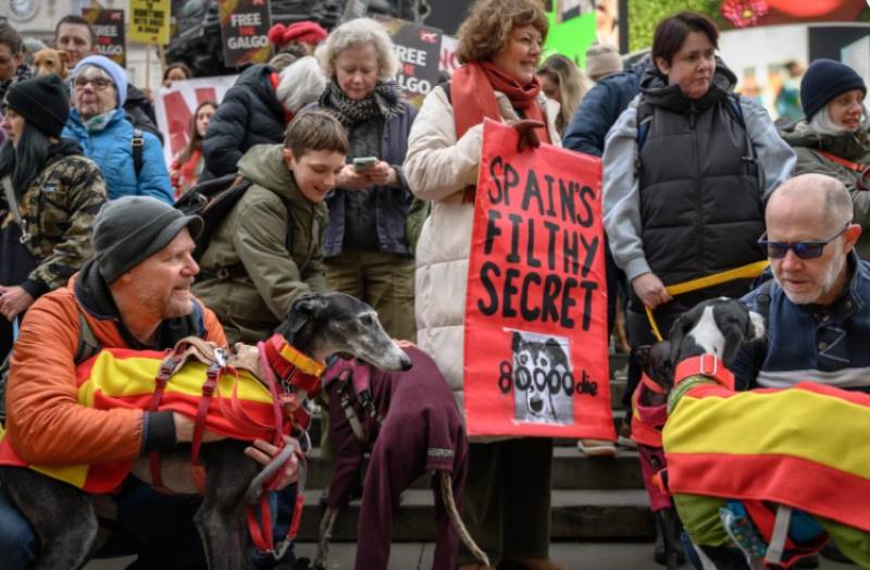 Brit activists take to UK streets in march against cruelty to hunting dogs in Spain