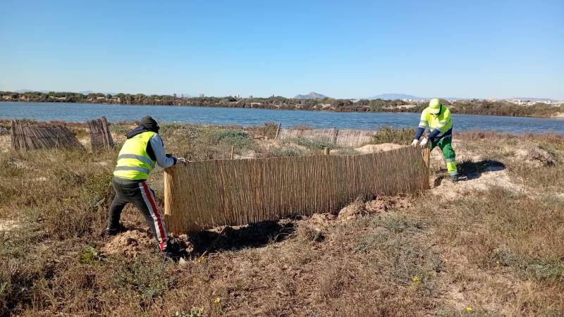 San Pedro del Pinatar invests €123,000 to protect fragile coastal dunes
