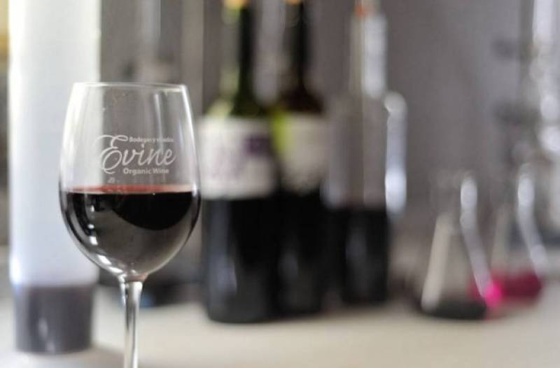 11 Free guided tours available in inland Murcia