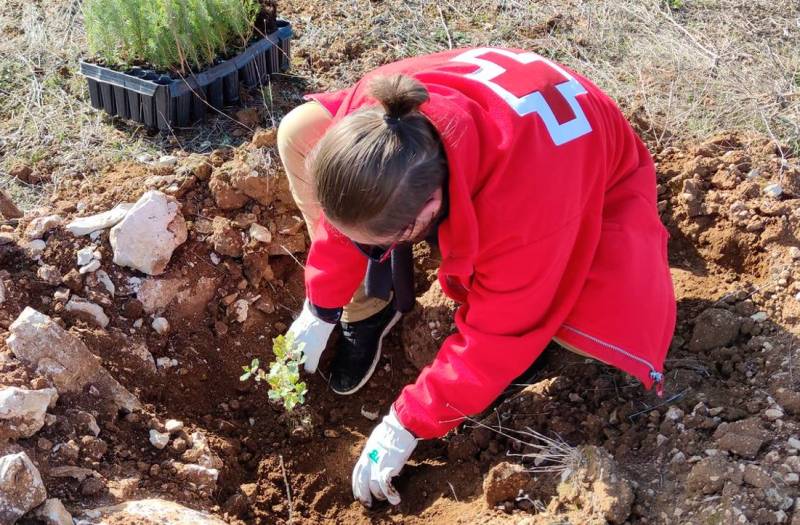Red Cross plants 9,900 native trees across Andalucía