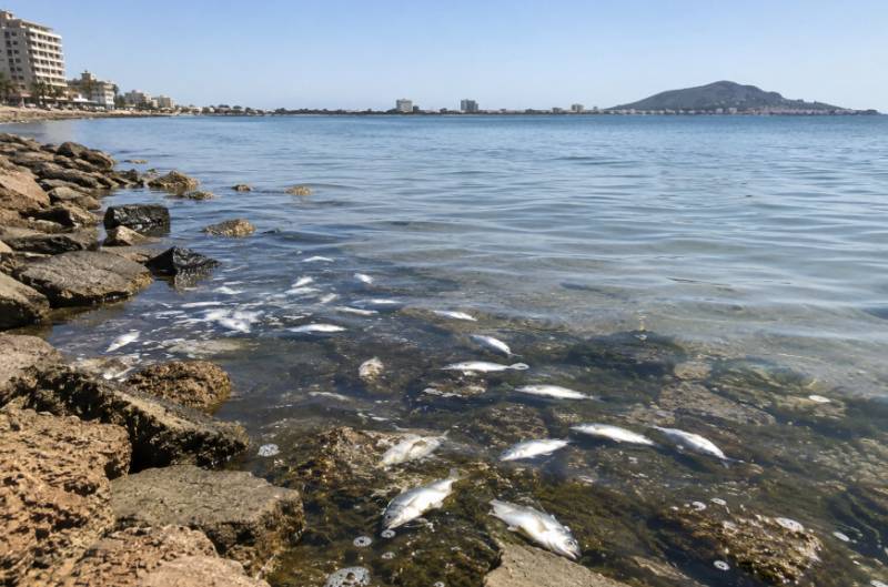 New study identifies hidden pollution source beneath the Mar Menor