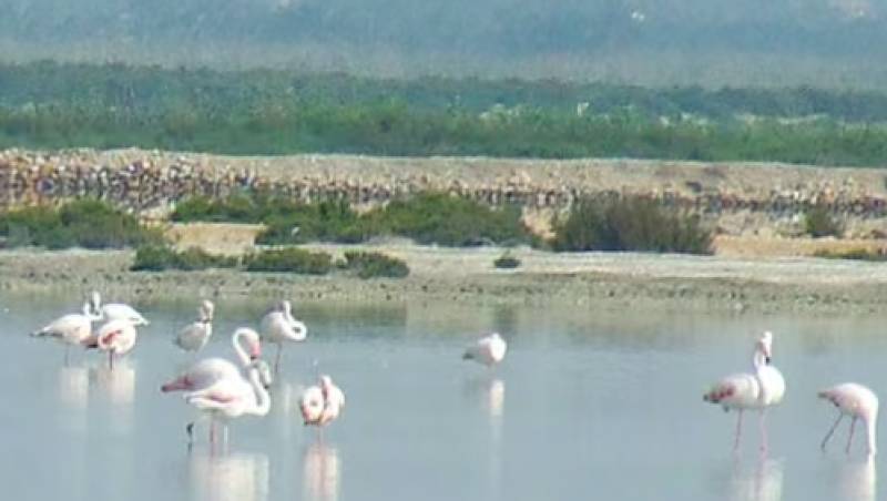 Alicante’s natural parks enjoy a bumper summer