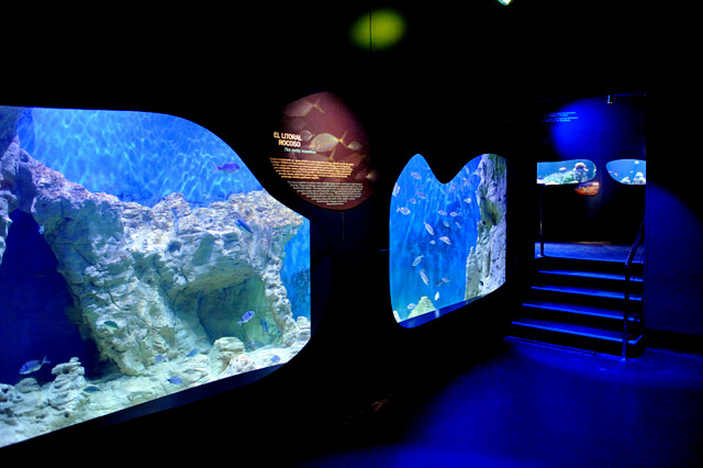 nemo aquarium museum