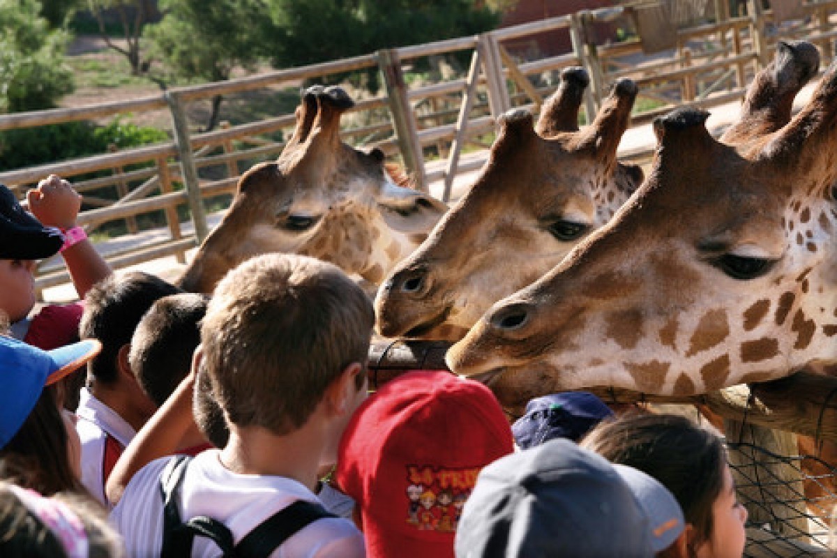 Murcia Today - Terra Natura Murcia Wildlife And Water Park