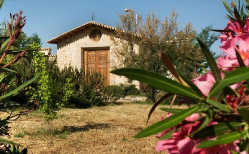 Jumilla wine route, Casa Pareja Organic Extra Virgen Olive Oil producer