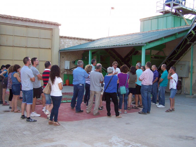 Jumilla wine route, Casa Pareja Organic Extra Virgen Olive Oil producer